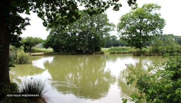 Belfry Coarse Fishery