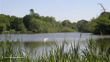 Bury Hill Fisheries