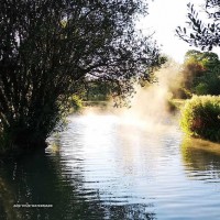 Royal Berkshire Fishery