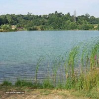 Forty Acre Plantation Lake