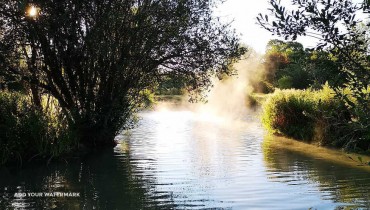Royal Berkshire Fishery