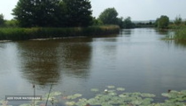 The Old River